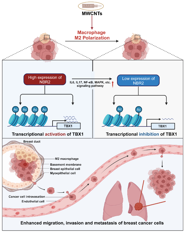 /crm/product/image/20240513/1715655192570031620.png 1715655192570031620.png